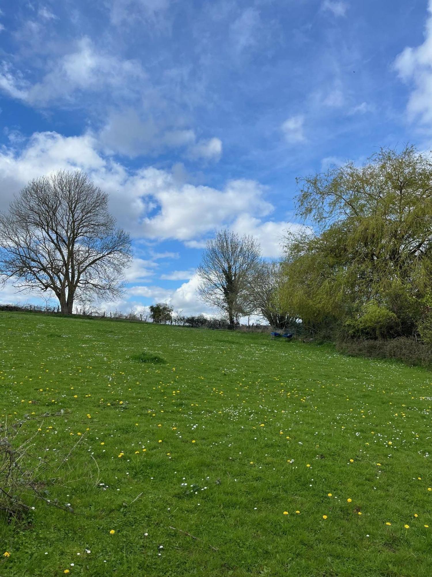 La Petite Campagne Blaru Exterior foto